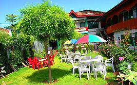 Hotel New Green View Srinagar